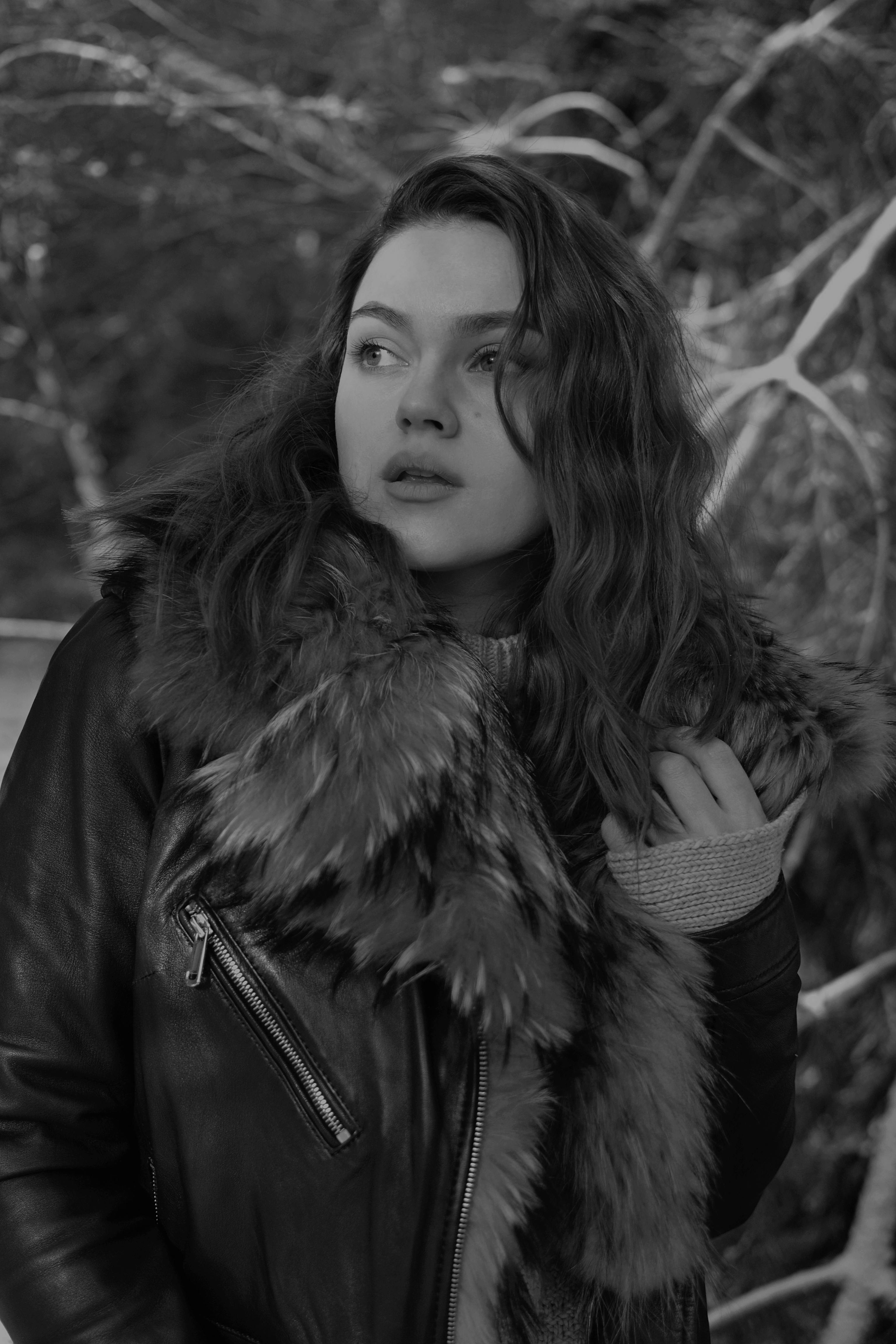 影片海报：北纬三十四度的雪